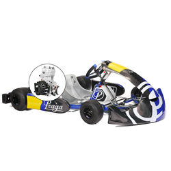 > 14 ans - Kart PRAGA IAME X30 (30 cv)