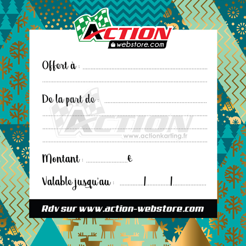 Carte cadeau NOËL - Action karting - Chèques cadeau / Bon d'achat Action  Karting